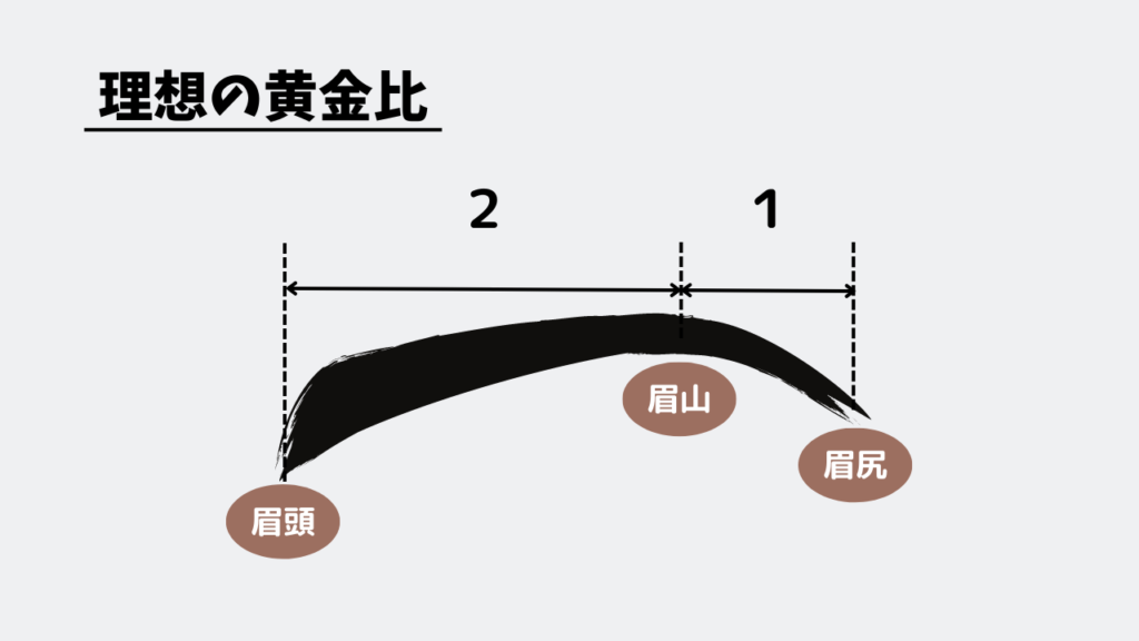 理想の黄金比は眉頭～眉山：眉山～眉尻＝2:1