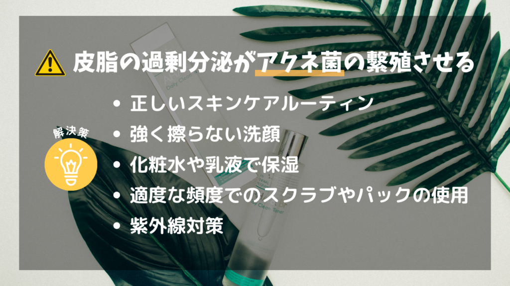 皮脂の過剰分泌がアクネ菌の繫殖させる
・正しいスキンケアルーティン
・強く擦らない洗顔
・化粧水や乳液で保湿
・適度な頻度でのスクラブやパックの使用
・紫外線対策