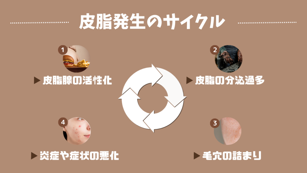 皮脂発生のサイクル
1．皮脂腺の活性化
2．皮脂の分泌過多
3．毛穴の詰まり
4．炎症や症状の悪化