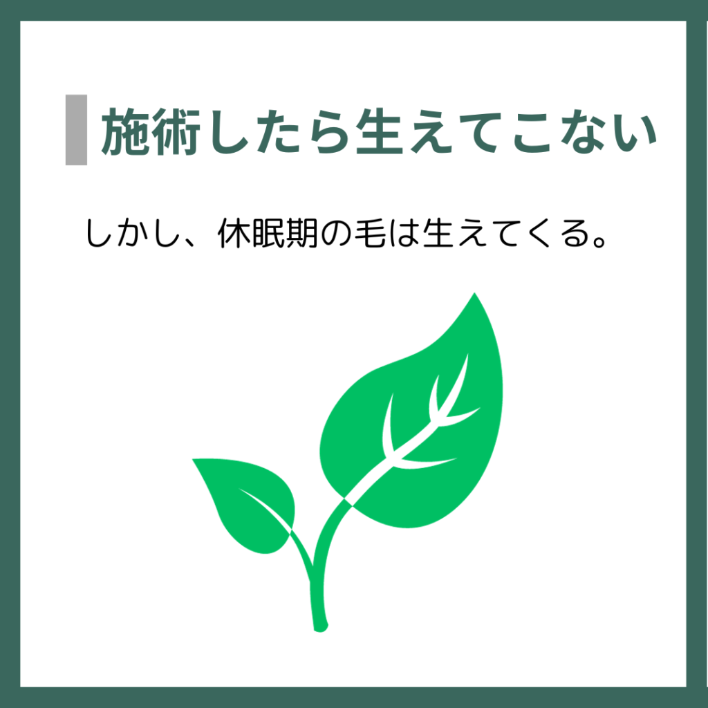 施術したら生えてこない
しかし、休眠期の毛は生えてくる。