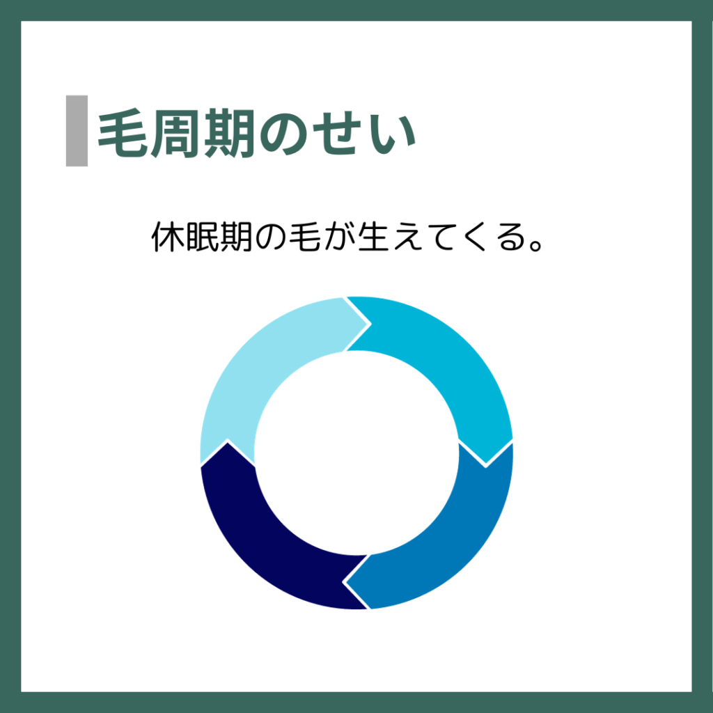 毛周期のせい
休眠期の毛が生えてくる。