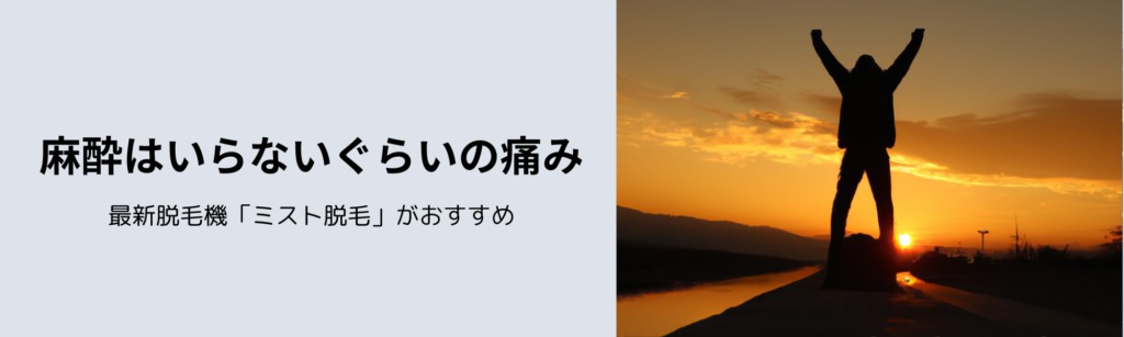 麻酔はいらないぐらいの痛み
最新脱毛機「ミスト脱毛」がおすすめ