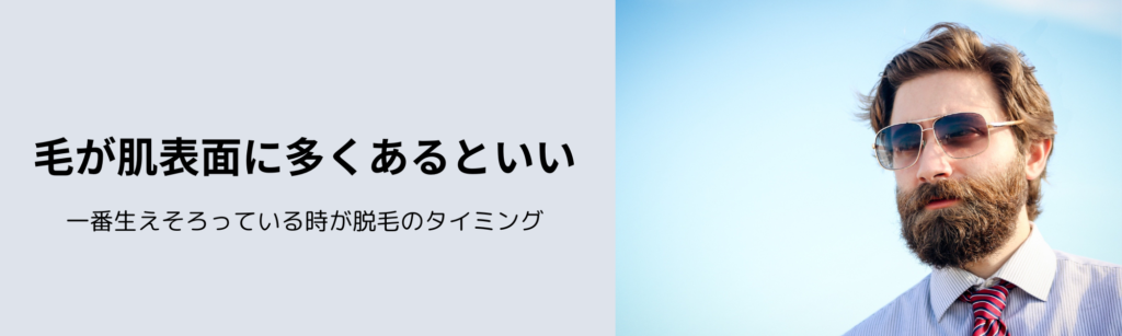 毛が肌表面に多くあるといい
一番生えそろっている時が脱毛のタイミング