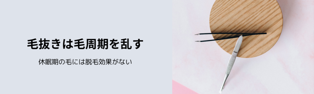 毛抜きは毛周期を乱す
休眠期の毛には脱毛効果がない