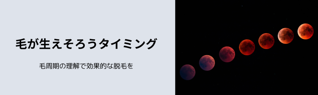 毛が生えそろうタイミング
毛周期の理解で効果的な脱毛を