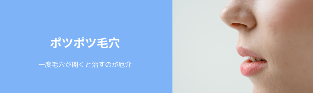 ポツポツ毛穴
一度毛穴が開くと治すのが厄介